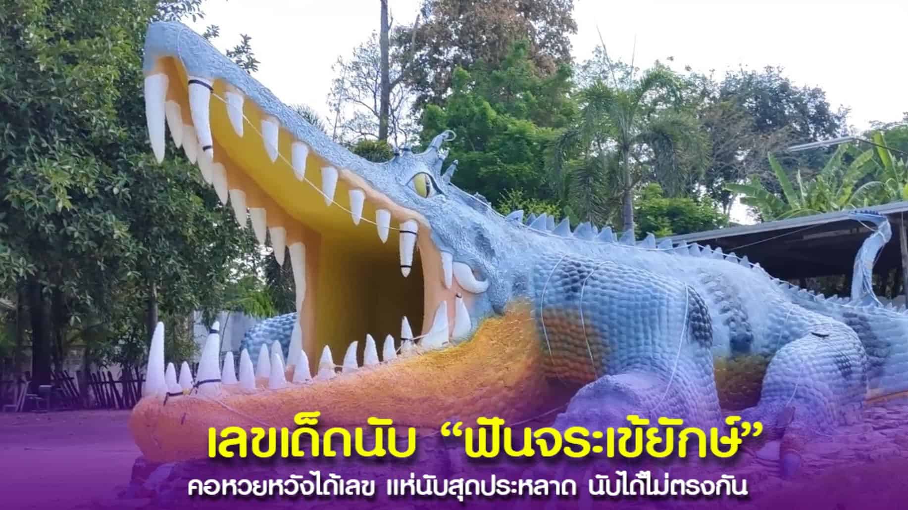 คอหวยแห่นับฟันจระเข้ ขอเลขเด็ดไปเสี่ยงโชค ลุ้นรับความรวยในงวดนี้
