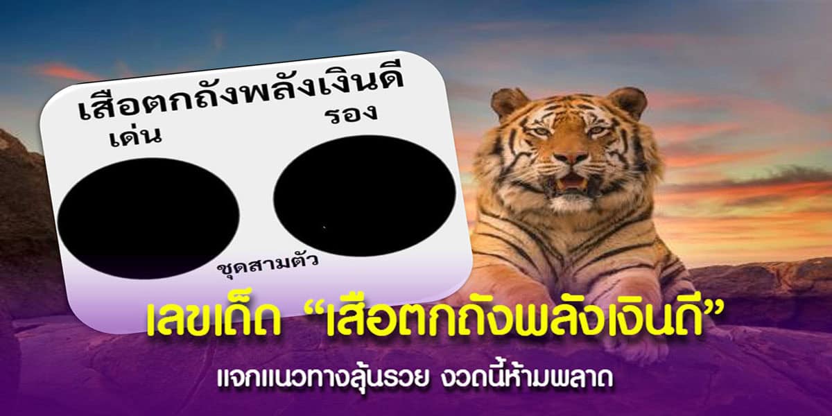 ลุยต่อกับเลขสุดเจ๋งจากเซียน “เสือตกถัง พลังเงินดี” พร้อมแล้วรีบจด