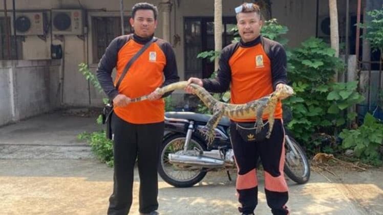 เลขดัง ตัวเงินตัวทองยักษ์
