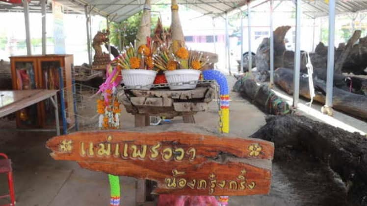 “เลขเด็ดแม่แพรววา - น้องกรุ๋งกริ๋ง”