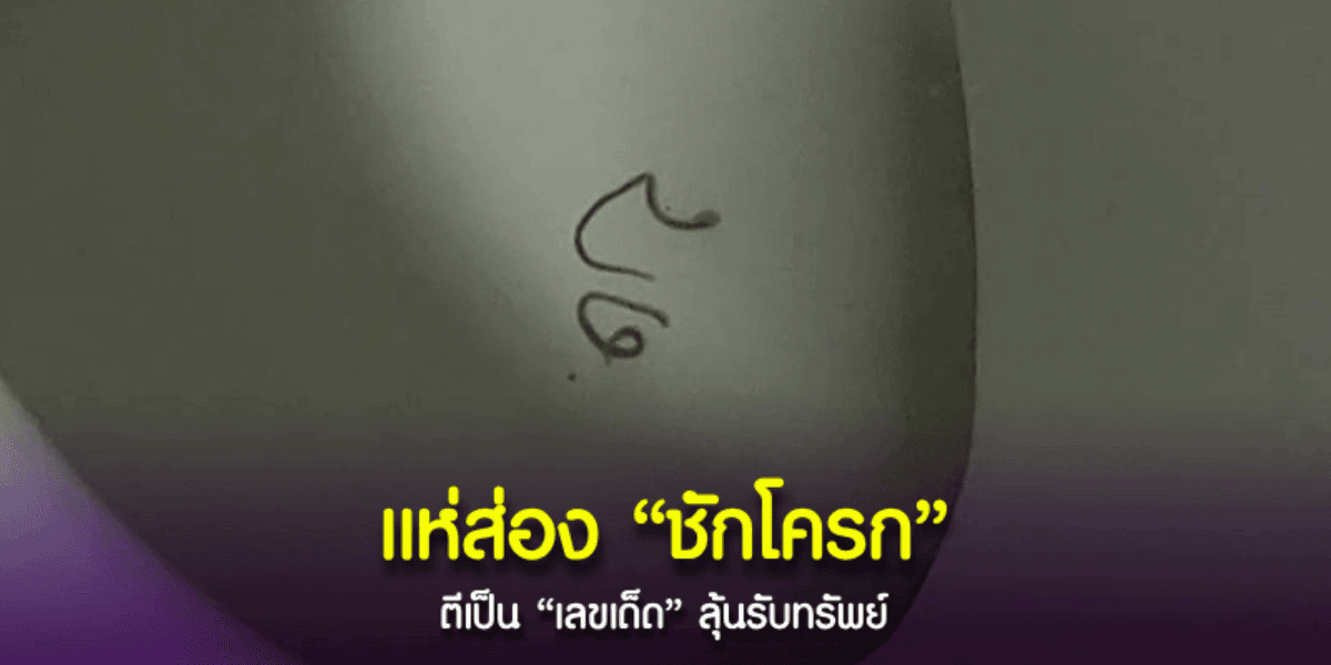 เลขเด็ด พยาธิขดตัวใน ชักโครก