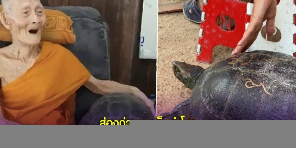 ส่องด่วนเลขเด็ดนำโชค