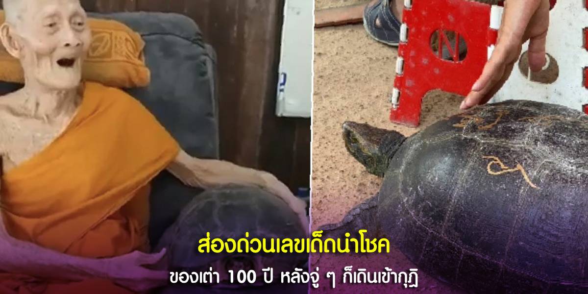 ส่องด่วนเลขเด็ดนำโชค