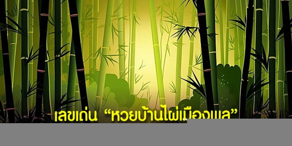 เลขเด่น หวยบ้านไผ่เมืองพล