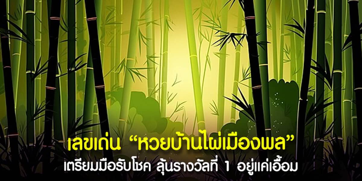 เลขเด่น หวยบ้านไผ่เมืองพล